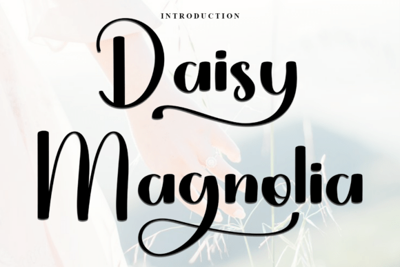 Daisy Magnolia: A Script Font for Modern Web Design